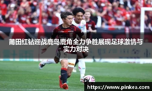 彩神VI首页官网