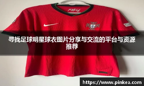 彩神VI首页官网